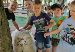 Chłopcy z Lisków z alpaką