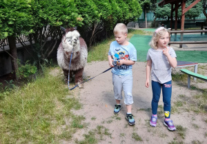 Ala i Tomek spacerują z alpaką