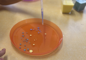 Na oleju dzieci pipetą robią kropki farbą.