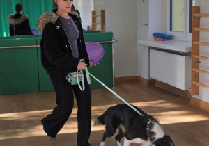 Młoda kobieta prowadzi psa rasy border collie na smyczy w sali gimnastycznej, trzymając w ręku fioletowe frisbee.