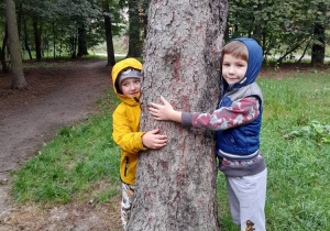 4.Chłopcy tulą się do drzewa