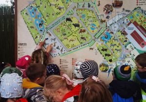 Dzieci oglądają mapę zoo.