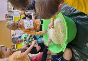 Dzieci próbują kapusty z zielonej miski