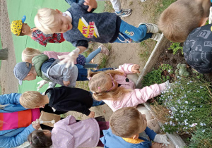 Dzieci sadzą kwiaty.