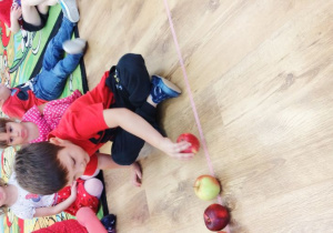 3.Chłopiec rozkłada jabłka na linii.
