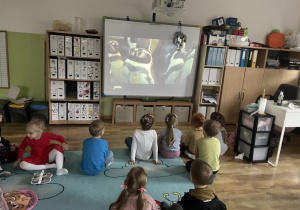 Dzieci oglądają na tablicy multimedialnej film edukacyjny o pingwinach.