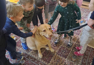 Dzieci uczą się jak należy właściwie głaskać obcego psa.