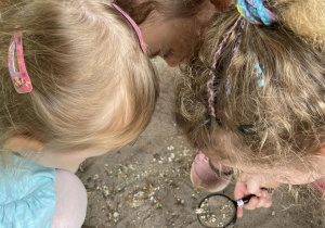 Dzieci obserwują z pomocą lup owady w ogrodzie przedszkolnym