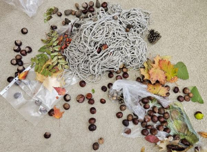 Dary Jesieni w ramach projektu „Sensoryczne pory roku z grupą Kotki”