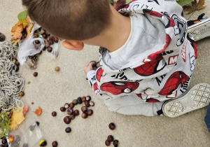 Chłopiec tworzy obraz z kasztanów.