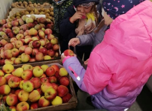 Mali kucharze w akcji – tworzymy naszą witaminową sałatkę!