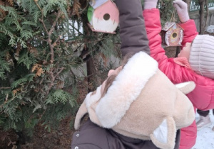 Dzieci w zimowych ubraniach zawieszają karmniki na gałęziach drzewa.