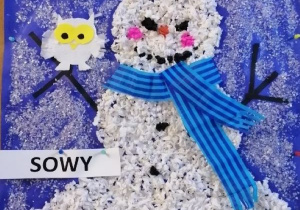 Bałwanek grupy Sowy.