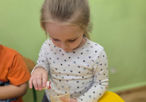 Dziewczynka wsypuje barwnik.