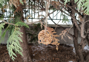 Zawieszka wisi na drzewie