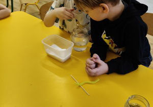 Chłopiec wsypuje sól do słoika.