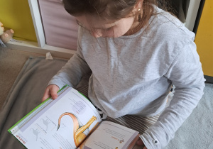 Dziewczynka ogląda książkę o dinozaurach.