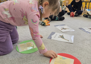 Dziewczynka bierze udział w zabawie edukacyjnej związanej z dinozaurami.