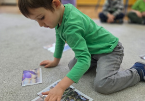 Chłopiec klęczy na dywanie i układa puzzle przedstawiające wiosenny kwiat - krokusa.