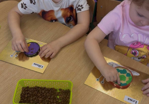 Dzieci układają ziarenka kawy.