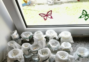 Słoki stoją na parapecie