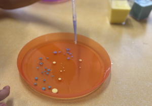 Na oleju dzieci pipetą robią kropki farbą.