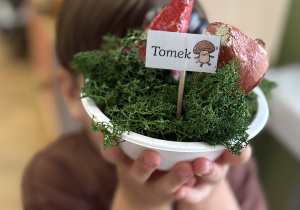 Tomek i jego mini las.