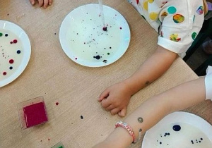 Dzieci malują na mleku przy wykorzystaniu pipetek i kolorowych farb.